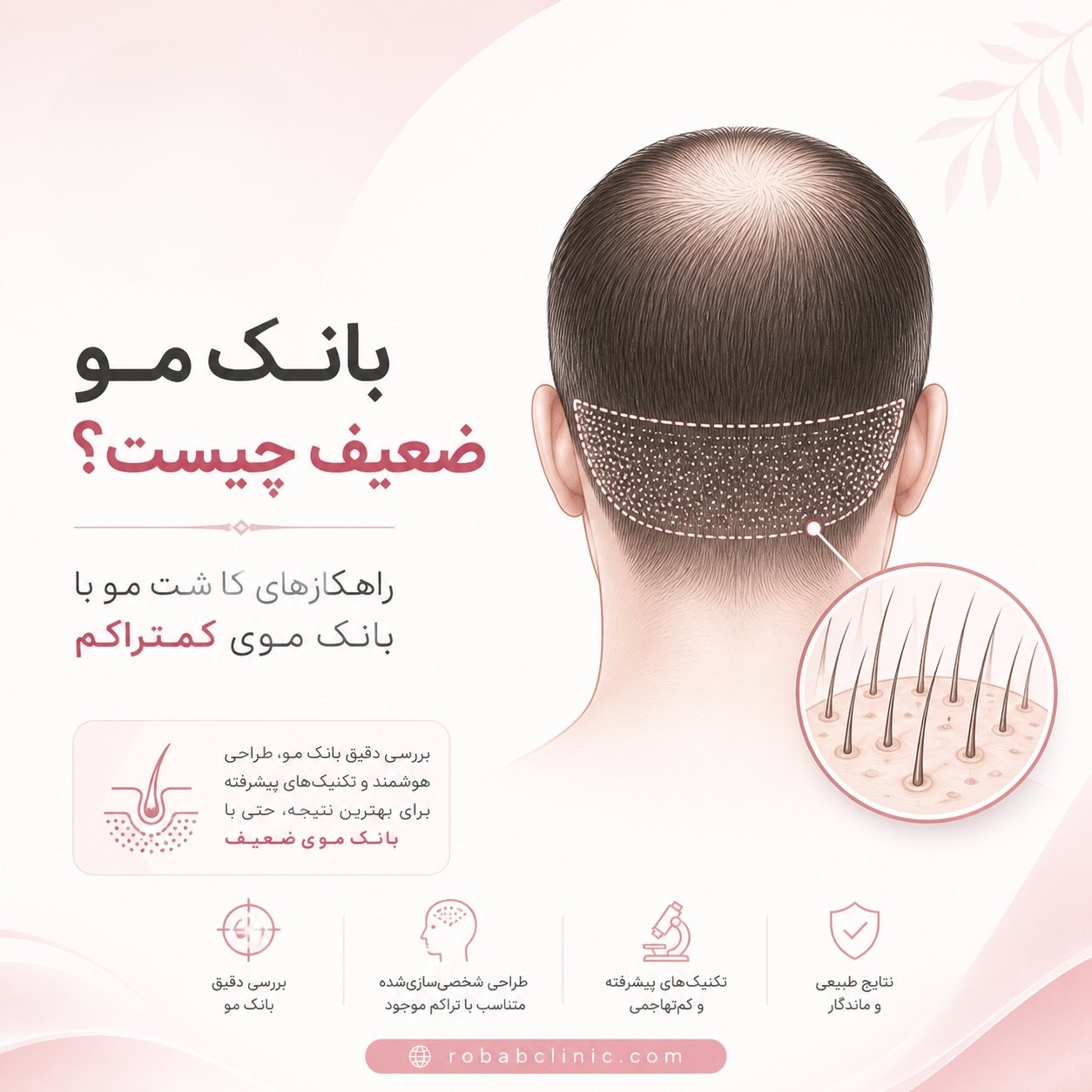 بانک مو (2)-compressed